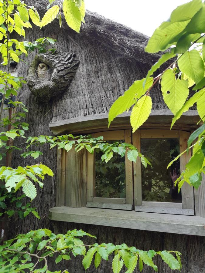 Cabane d'Augustin Saint-Augustin  Extérieur photo